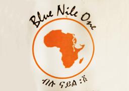 Blue Nile One logo.